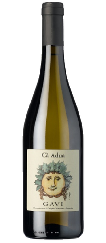 Gavi  2022