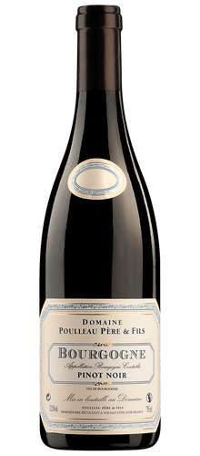 Bourgogne Côte-d'Or Pinot Noir 2022