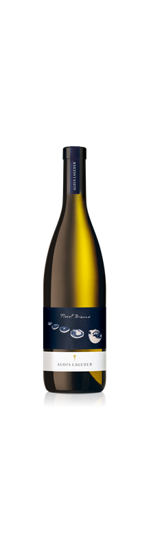 Versalto Pinot Bianco 2022