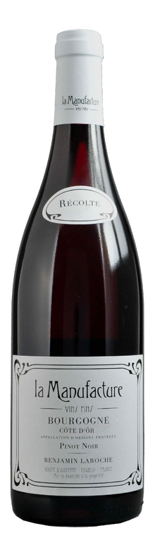 Bourgogne C&ocirc;te d'Or 2020