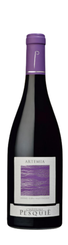 Art&eacute;mia J&eacute;roboam 2017