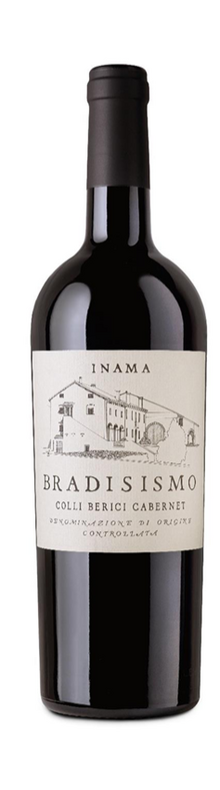 Bradisismo Colli Berici DOC Cabernet 2021