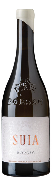 Suia Campo de Borja 2022