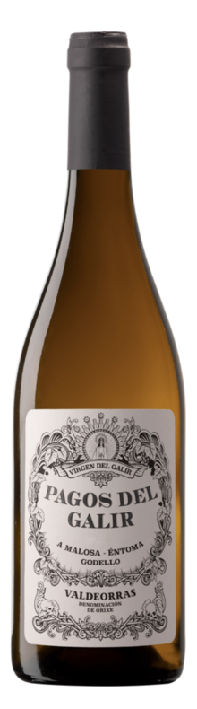 Pagos del Galir Godello 2021