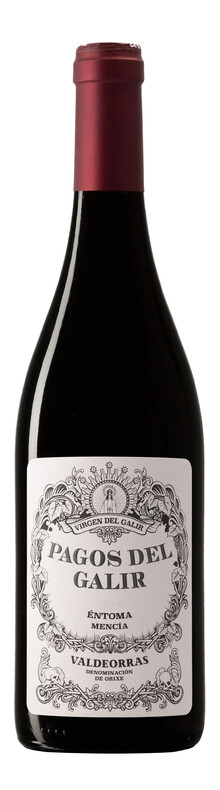 C.V.N.E. - Val do Galir Valdeorras Mencia - 2020