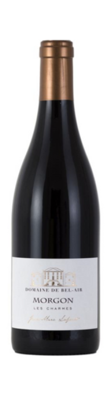 Morgon Les Charmes 2020