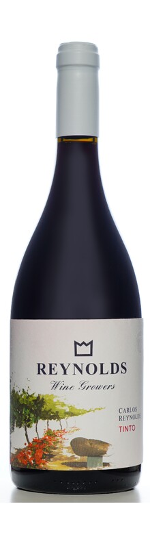 Carlos Reynolds Tinto 2019