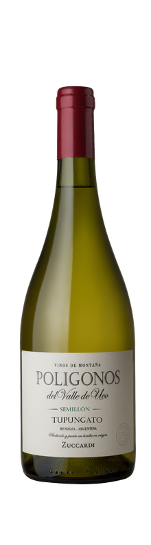 Zuccardi, Poligonos del Valle de Uco, Semillon Valle de Uco IG 2023