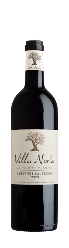 La Pierre Plant&eacute;e Cabernet Sauvignon BIO, IGP Pays d'Oc 2023