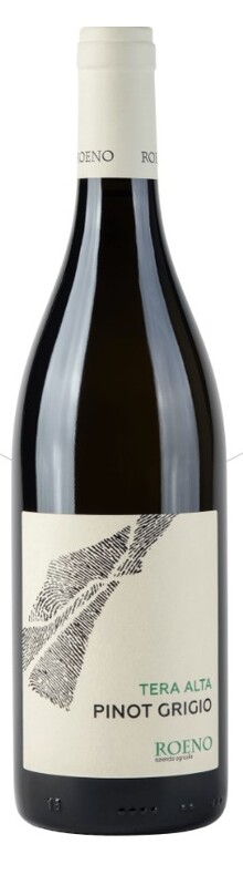 Pinot Grigio Valdadige Tera Alta, DOC Valdadige Etschtaler 2023