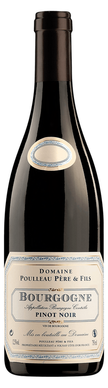Bourgogne C&ocirc;te-d'Or Pinot Noir 2022