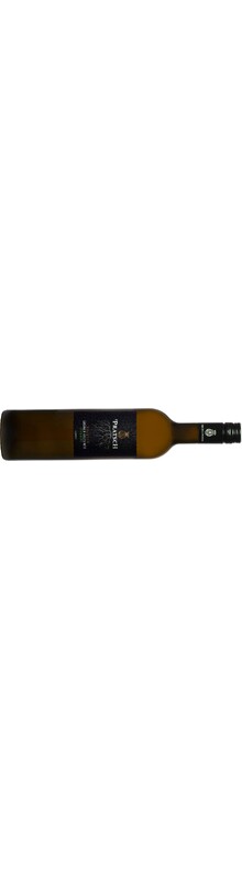 Pratsch Gr&uuml;ner Veltliner Steinberg Reserve, Qualit&auml;tsswein 2022