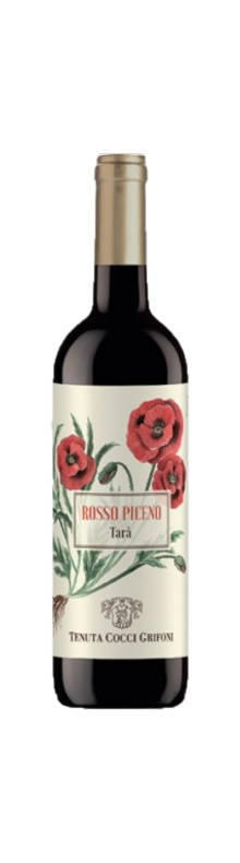 Rosso Piceno Tar&agrave; 2020