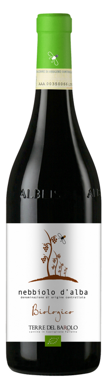 Organic Nebbiolo d'Alba 2018