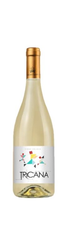 Tricana Branco 2023