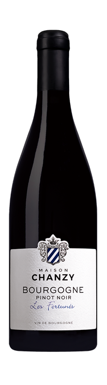  Bourgogne Pinot Noir Les Fortun&eacute;s 2023