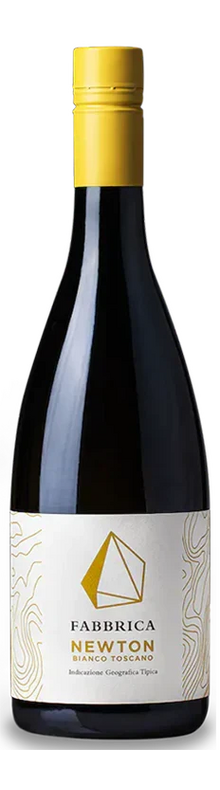 Newton Bianco 2023