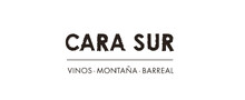 Cara Sur