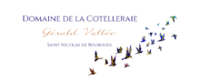 Kork
