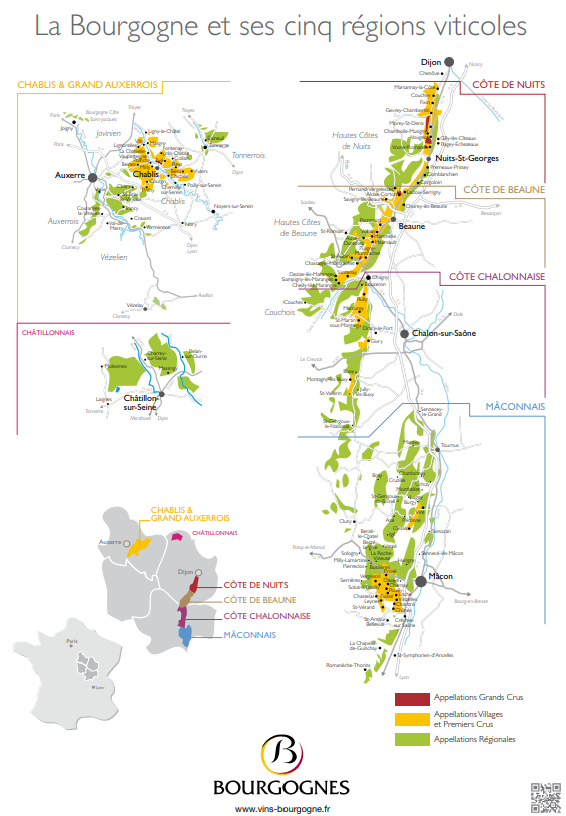 La Bourgogne et ses 5 régions viticoles